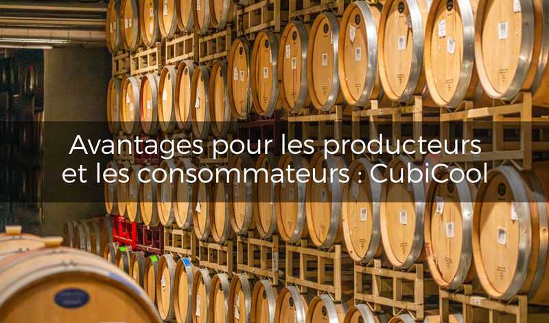 Avantages pour les producteurs et les consommateurs Cubicool : Le BIB ou CUBI, un conditionnement gagnant-gagnant 🍷
