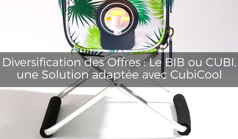 Diversification des Offres : Le BIB ou CUBI, une Solution Adaptée à toutes tes Boissons avec Cubicool 🍹🍷