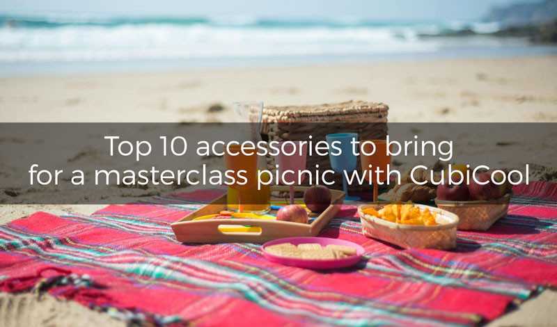 Top 10 accessories to bring for a perfect picnic with CubiCool